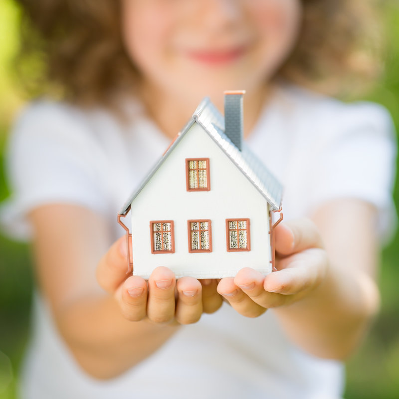 Cellulose Insulation: Child holding a house